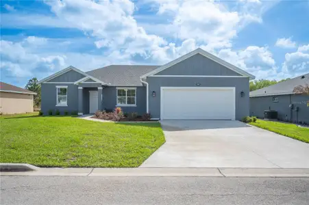 New construction Single-Family house 4550 Fairway Oaks Dr, Mulberry, FL 33860 - image