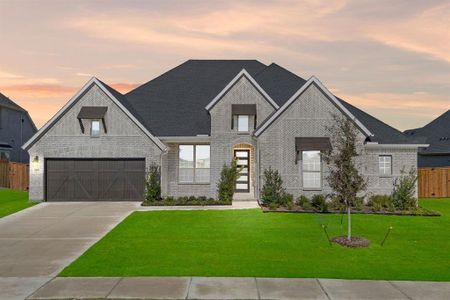 New construction Single-Family house 265 Basketflower Dr, Waxahachie, TX 75165 plan Natalia - image