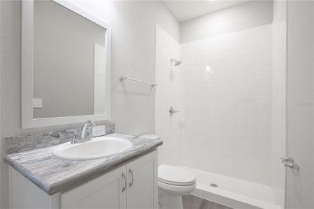 New construction Single-Family house 2646 Scenic Park Lp, Wimauma, FL 33598 plan Savannah - image 9