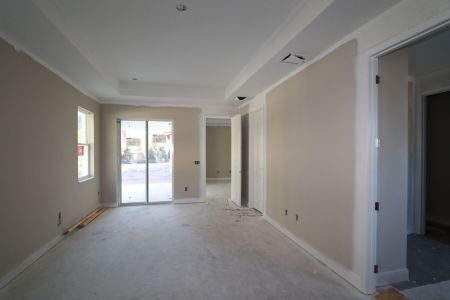 New construction Single-Family house 20339 Oriana Loop, Land O' Lakes, FL 34638 Newport II- photo 84 84