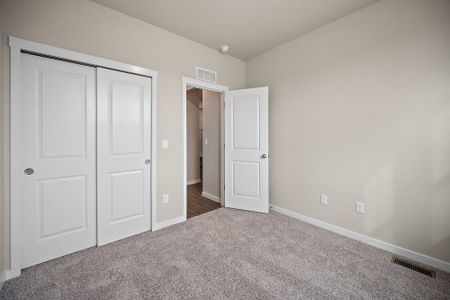 New construction Single-Family house 11924 Lost Peak Ln, Colorado Springs, CO 80925 plan Carnation - image 17
