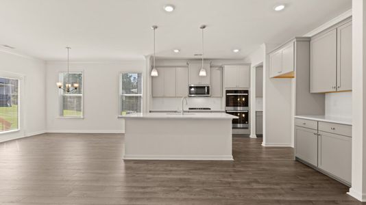 New construction Single-Family house 1715 Goodwin Dr, Hampton, GA 30281 Hampshire- photo 3 3