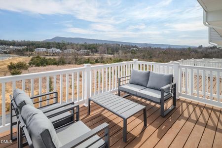 New construction Townhouse house 1233 Rollman Farm Rd, Raleigh, NC 27603 - image