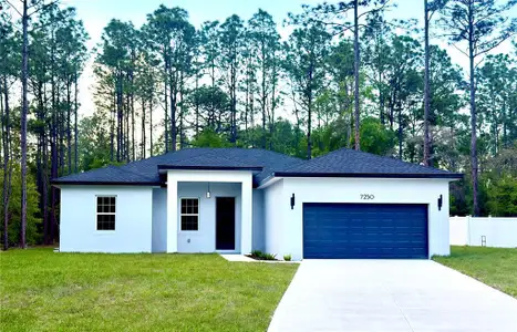 New construction Single-Family house 7250 N Freeport Cir, Citrus Springs, FL 34434 - image