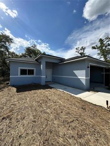 New construction Single-Family house 63 Guava Place Dr, Ocklawaha, FL 32179 - image