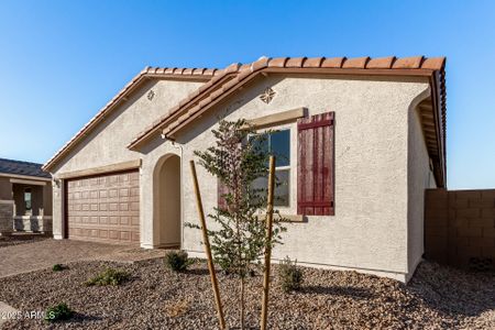 New construction Single-Family house 40532 W Wade Dr, Maricopa, AZ 85138 Agate- photo 29 29