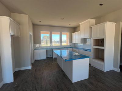 New construction Single-Family house 105 Cattleman Dr, Springtown, TX 76082 - image 9