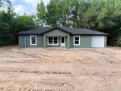 New construction Single-Family house 3205 Se 143Rd Ln, Summerfield, FL 34491 - image
