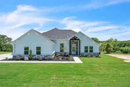 New construction Single-Family house 9012 Valley Oak Ct, Springtown, TX 76082 - image 2