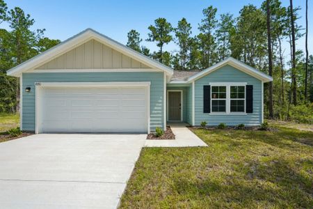 New construction Single-Family house 4320 Vicki St, Hastings, FL 32145 plan Beaumont - image