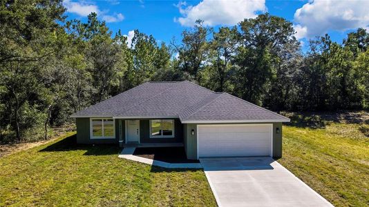 New construction Single-Family house 2400 W Magenta Dr, Citrus Springs, FL 34434 - image