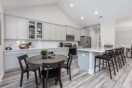New construction Single-Family house 1233 Talisker Wy, Burlington, NC 27215 plan Manhattan - image 15