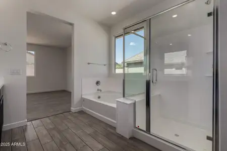 New construction Single-Family house 1172 E Ridgerock St, Casa Grande, AZ 85122 plan Poppy 4413 - image 7