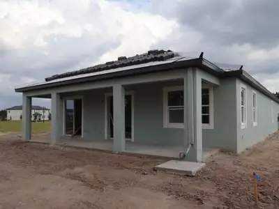 New construction Single-Family house 34299 Grande Dominion Dr, Zephyrhills, FL 33541 plan Madeira II - image