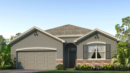 New construction Single-Family house 11105 Cotton Vale Place, San Antonio, FL 33576 - photo 0