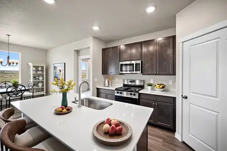 New construction Single-Family house 11924 Lost Peak Ln, Colorado Springs, CO 80925 plan Carnation - image 6
