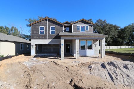 New construction Single-Family house 11984 Hilltop Farms Dr, Dade City, FL 33525 Casanova- photo 52 52