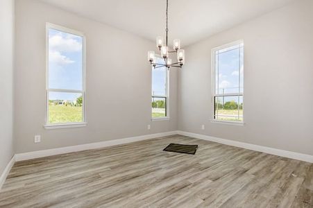 New construction Single-Family house 4010 Pleasant Dr, Prosper, TX 75078 - image 18