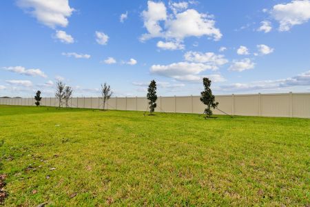 New construction Single-Family house 11855 Hilltop Farms Dr, Dade City, FL 33525 Picasso Bonus- photo 117 117