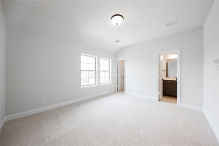 New construction Single-Family house 2005 Valencia Dr, Little Elm, TX 75068 Summerfield- photo 32 32