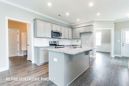 New construction Single-Family house 114 Cinnabar St, Clayton, NC 27527 - image 4