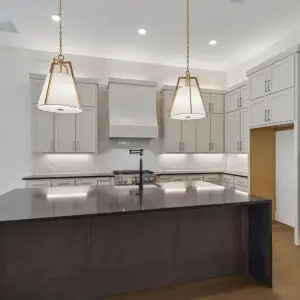 New construction Single-Family house 311 Orion Dr, Prosper, TX 75078 plan 6011 - image 17