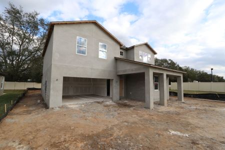 New construction Single-Family house 11984 Hilltop Farms Dr, Dade City, FL 33525 Casanova- photo 62 62