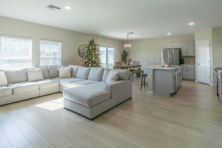 New construction Single-Family house 34284 Verbena St, Wesley Chapel, FL 33545 - image 16