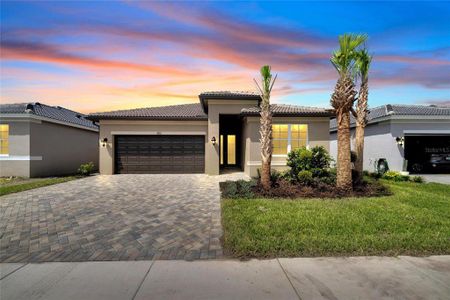 New construction Single-Family house 4826 Avila Lakes Drive, Wimauma, FL 33598 - photo 0