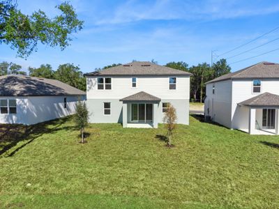 New construction Single-Family house 2333 Huanier Ct, Apopka, FL 32712 plan Florence - image 4