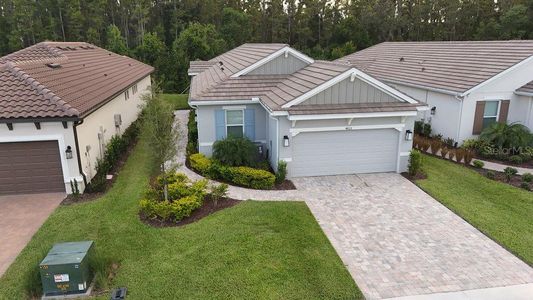 New construction Single-Family house 4605 Rosatti Rd, Wesley Chapel, FL 33543 plan Arezzo - image