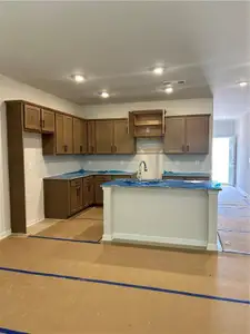 New construction Single-Family house 29 Primrose Dr, Dallas, GA 30132 plan Orchard - image 6