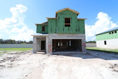 New construction Single-Family house 3039 Misty Marble Dr, Zephyrhills, FL 33540 Castellana- photo 2 2