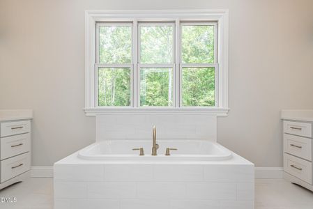 New construction Single-Family house 349 Brook Green Ln, Unit 19, Pittsboro, NC 27312 - image 20