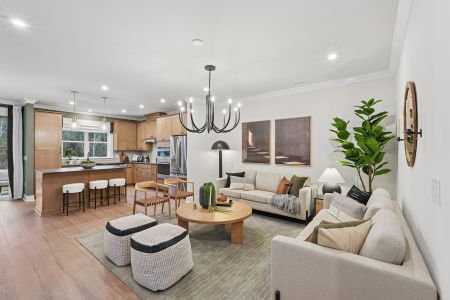 New construction  house 213 Oak Summit Pl, Chapel Hill, NC 27516 plan Mitchell - image