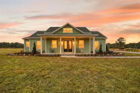 New construction Single-Family house Umatilla, FL 32784 - image