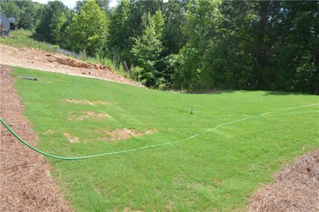 New construction Single-Family house 392 Brookstone Trail, Dawsonville, GA 30534 - photo 108 108