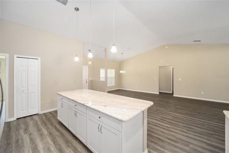 New construction Single-Family house 13180 Sw 80Th St, Dunnellon, FL 34432 null- photo 8 8