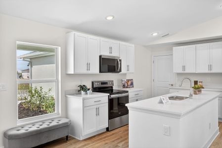 New construction Single-Family house 1135 Nw 13Th St, Cape Coral, FL 33993 plan The Seabreeze Cove - image 14