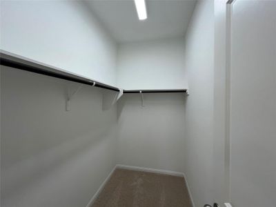 New construction Single-Family house 5315 Bruno St, Hutto, TX 78634 - image 11