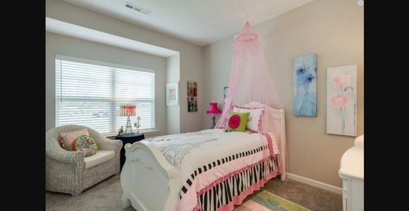 New construction Single-Family house 2609 Unitas Dr, Unit 26, Murfreesboro, TN 37129 plan 2151 Elevation DEF - image 9