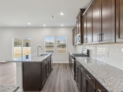 Kitchen in the Dakota floorplan at 199 White Birch Lane.