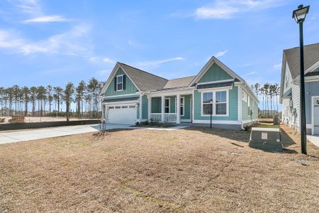 New construction Single-Family house 314 Cherry Orchard Dr, Summerville, SC 29483 plan Drayton with Bonus - image