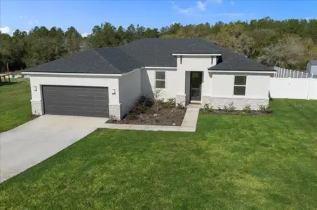New construction Single-Family house 16195 Sw 48Th Cir, Ocala, FL 34473 - image