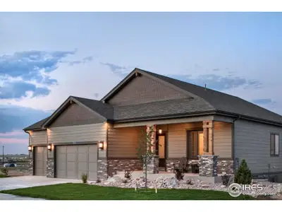 New construction Single-Family house 164 Boxwood Dr, Windsor, CO 80550 - image