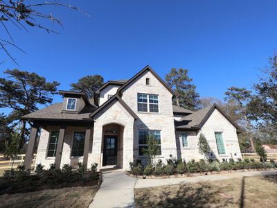 New construction Single-Family house 21918 Hibiscus Hedge Trl, Tomball, TX 77377 plan Salado - Premier Collection - image