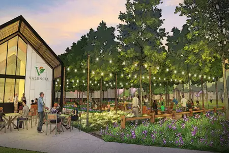 New construction Single-Family house 18819 Lima Orange Trl, Manvel, TX 77578 plan Lindsay - image