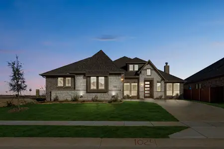 New construction Single-Family house 1024 Silver Sage Dr, Justin, TX 76247 plan Rockcress - image