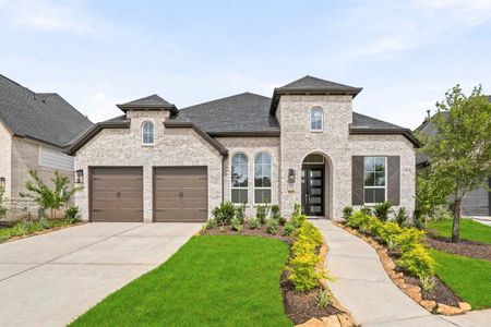 New construction Single-Family house 1623 Summer Pine Ct, Missouri City, TX 77459 plan 216 - image