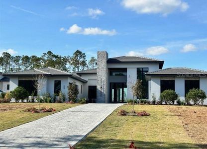 New construction Single-Family house 16122 Pendio Dr, Montverde, FL 34756 - image
